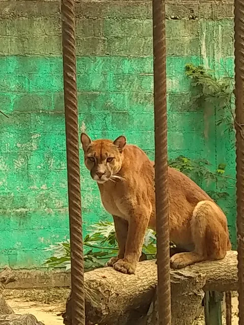 Albergue Zoologico El Jaguar