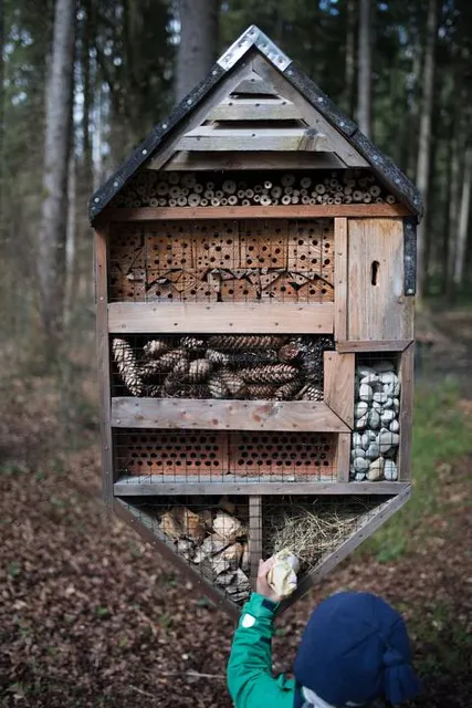 Walderlebnispfad Hohenlindener Sauschütt