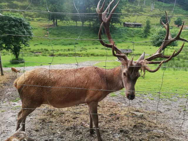 Walderlebnispfad Bächlesgrund (Heigenbrücken)