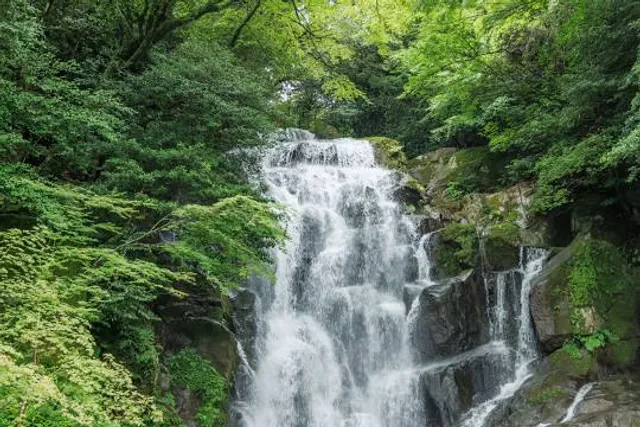 photo-1