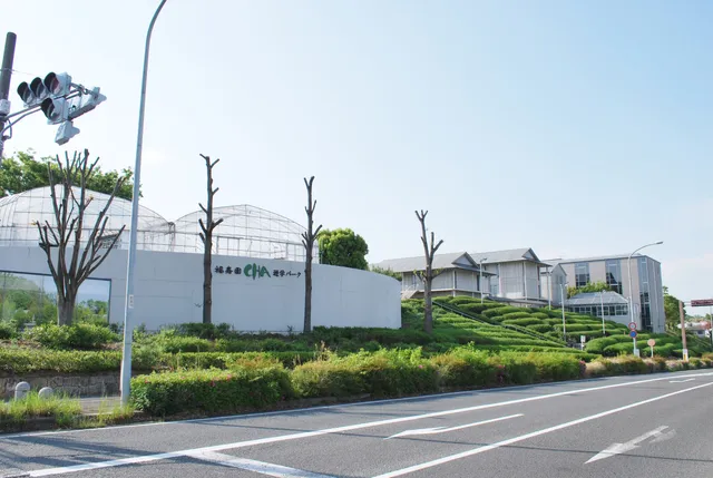 FUKUJUEN CHA EXPERIENCE PARK