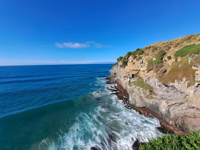 Taiaroa Viewing Platform
