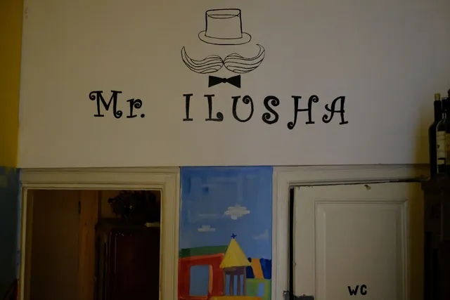Mr. Ilusha