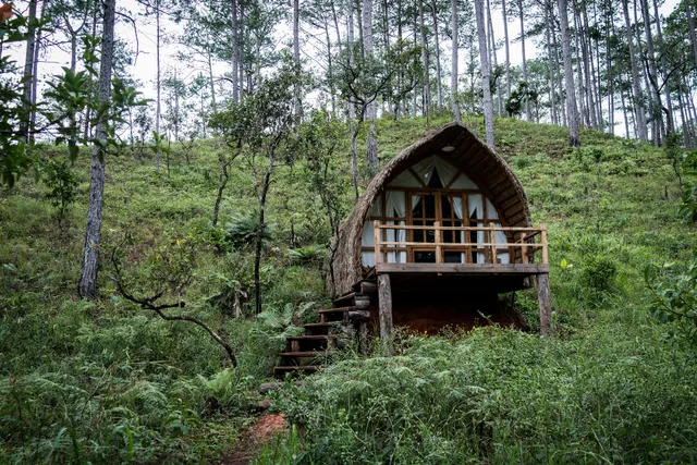 Andante Nature Retreat