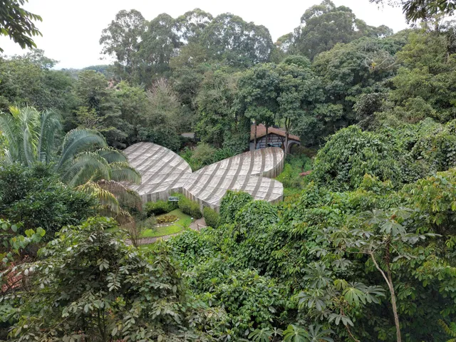 Quindio Botanical Garden - Butterfly