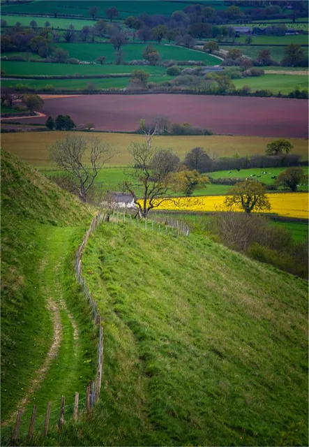 Hambledon Hill