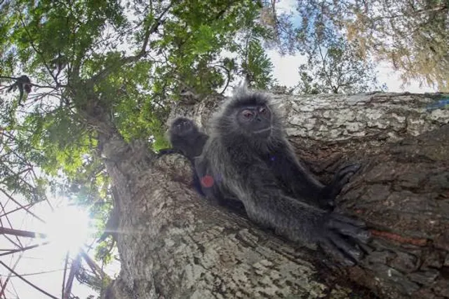 Taman Alam Kuala Selangor