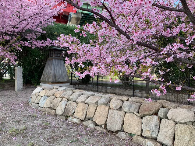 photo-1