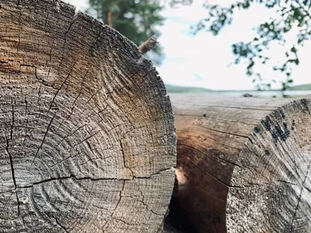 Rezerwat przyrody Krępiec