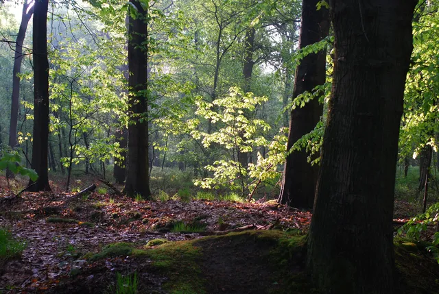 Provinciaal domein Het Leen