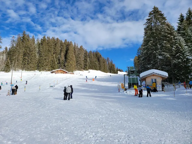 Skilift Hohwald Beatenberg AG