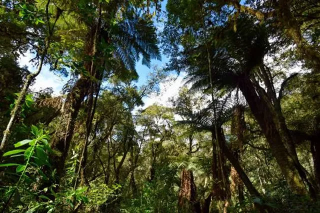 Parque Nacional Carrasco