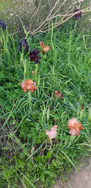 Sandstone Hills National Park