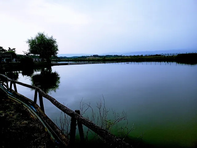 Lago I Salici di Piero Giotti