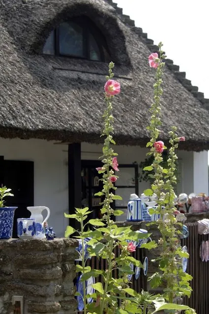 Tihanyi Babamúzeum Kft.