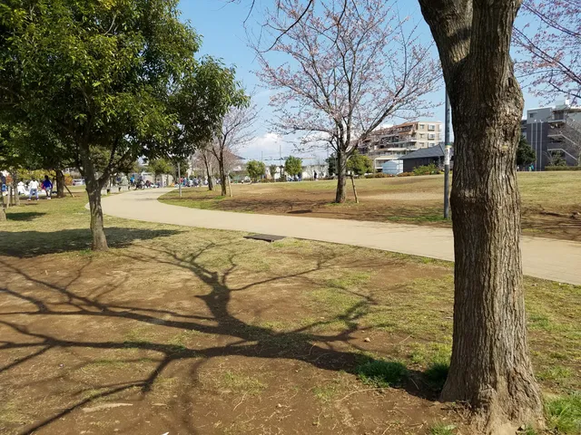 Higashimatsudo Central Park