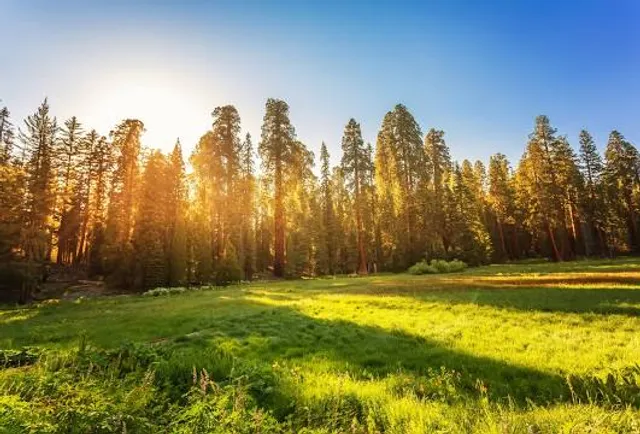 Monument Park Brăila
