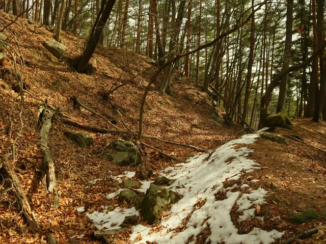 Kiriharajō Castle Ruins