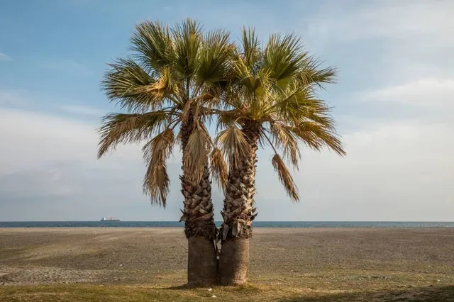 Playa De Torrox Costa