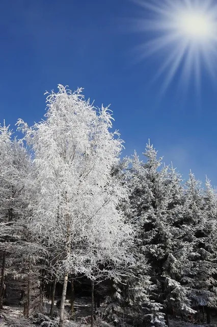 Dearne Valley Country Park