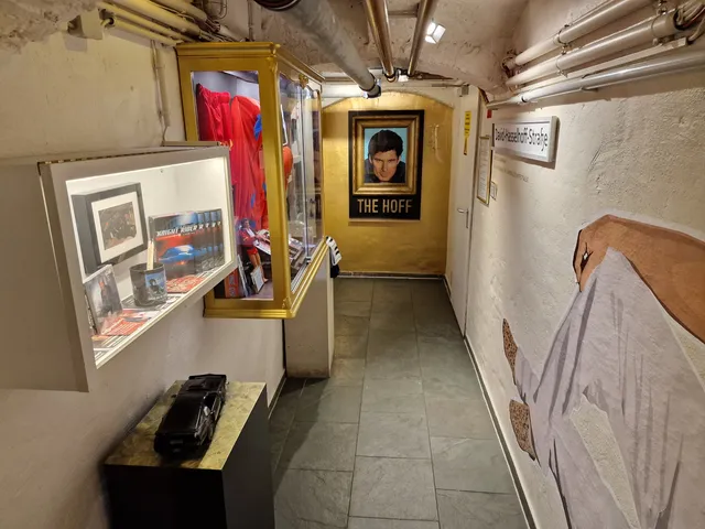 David Hasselhoff Museum