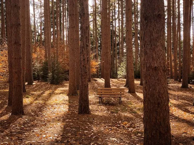 RMSC Cumming Nature Center