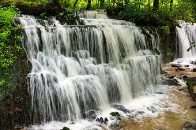 City Lake Natural Area