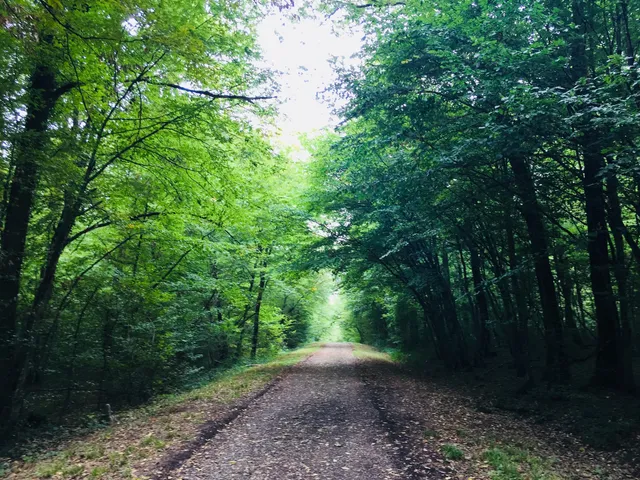 North Kordofan State