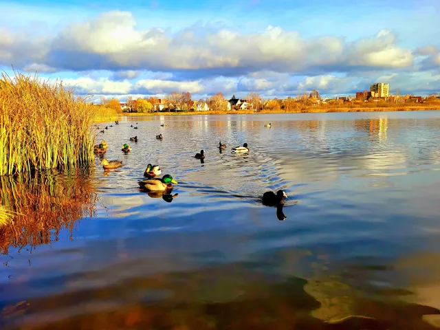 Dauniškis Lake Musical Fountain