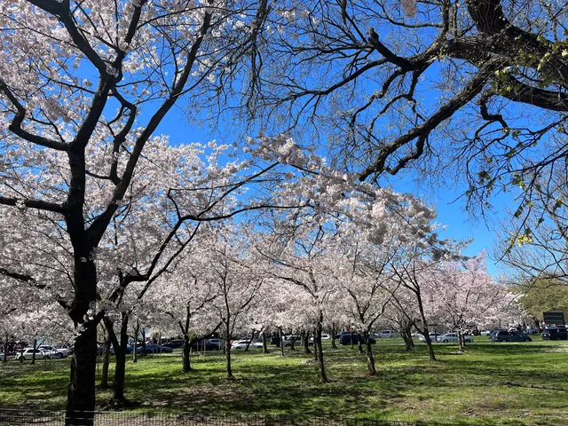 Tidal Basin Food Kiosk