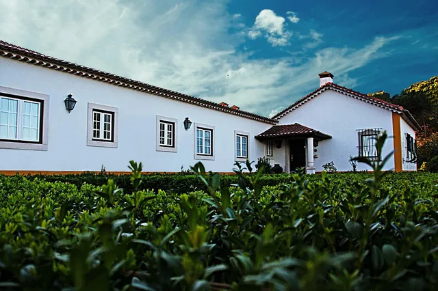 Quinta Da Torre