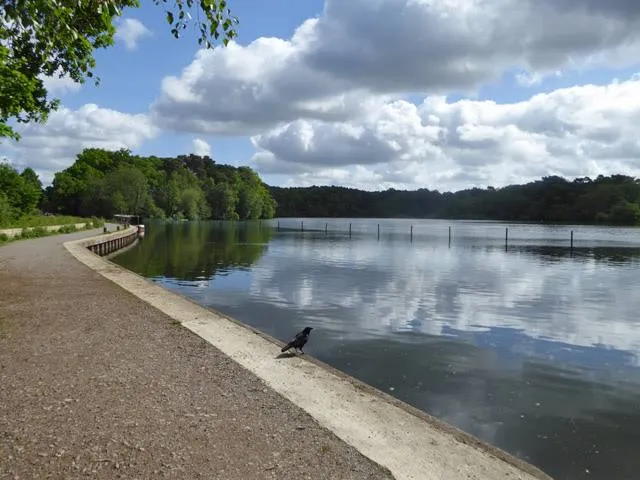 Mytchett Lake