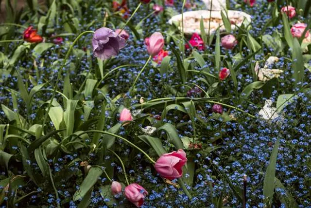 Crystal Hermitage Gardens