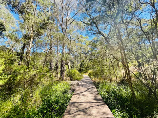 Bellbird Dell Reserve
