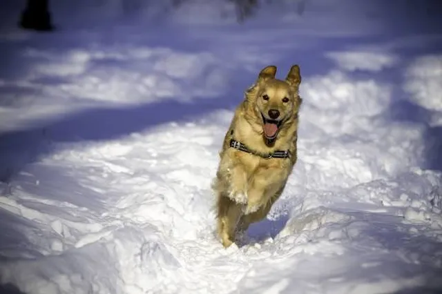 Grover Cleveland Park