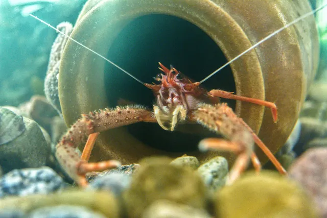 COAST Discovery Centre
