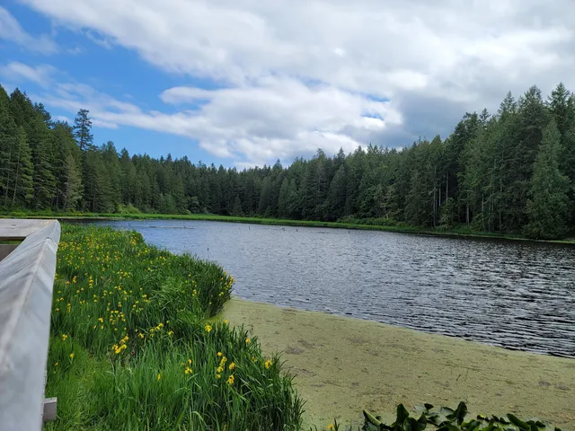 Hemer Provincial Park
