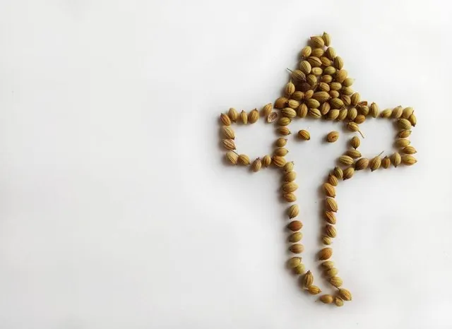 Museum of the Holy Cross Abbey