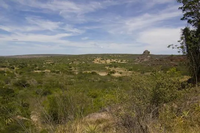 Pedra do Cachorro São Caetano