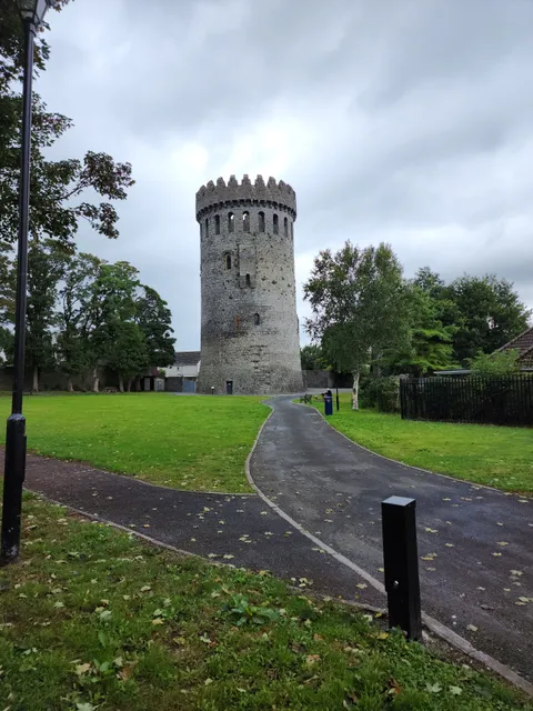 Nenagh Castle