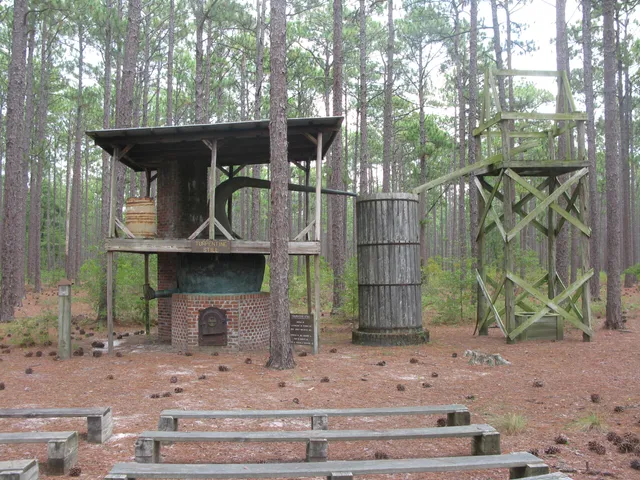 Turnbull Creek Educational State Forest