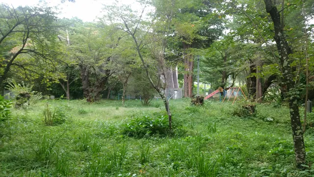 Site of Ichinohe Castle