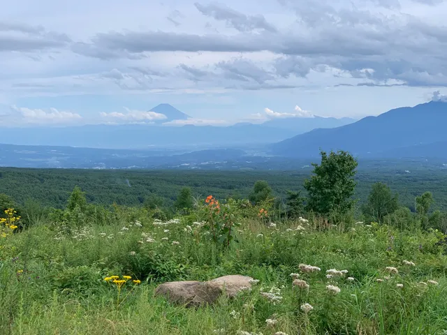 Fujimi Plateau Primeval Forest
