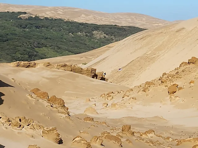 Giant Sand Dunes