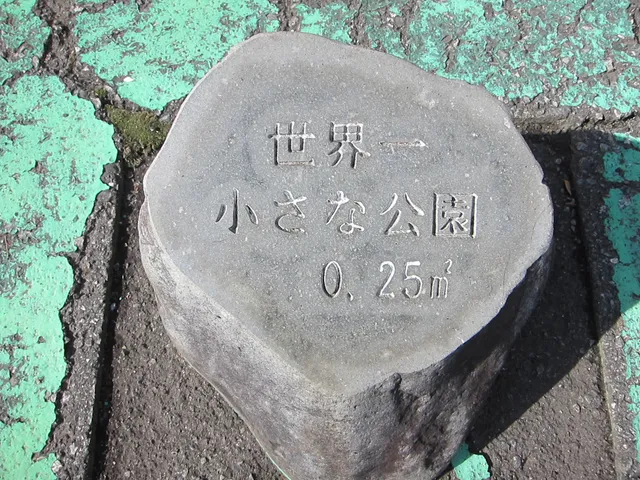 photo-1