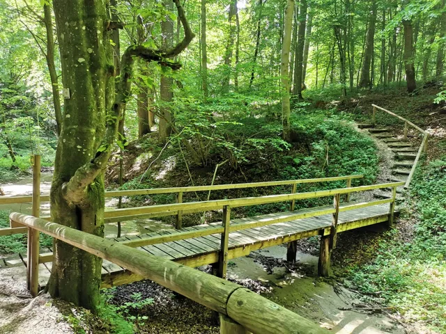 Naturerlebnispfad Hansenhohl