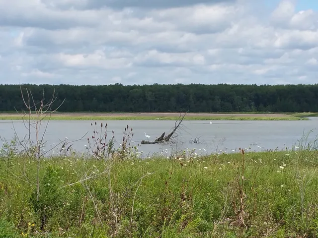 Big Island Wildlife Area