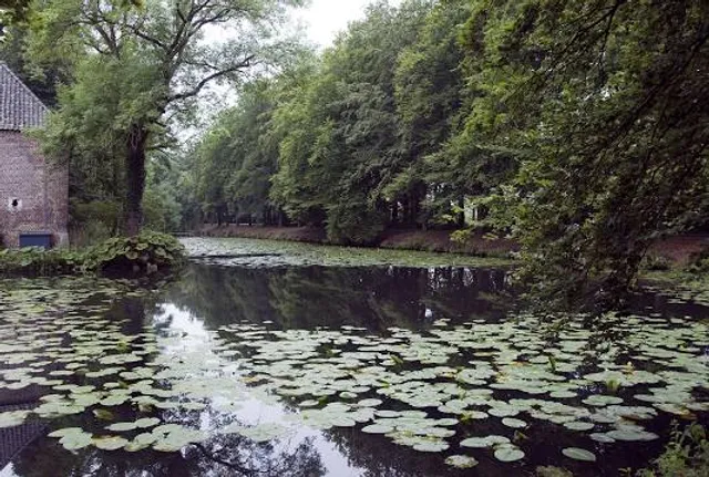 Castle Gardens In Arcen