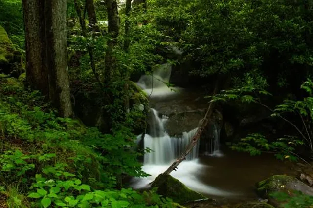 Lamar Alexander Rocky Fork State Park