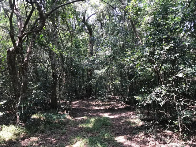 Madhu Road National Park